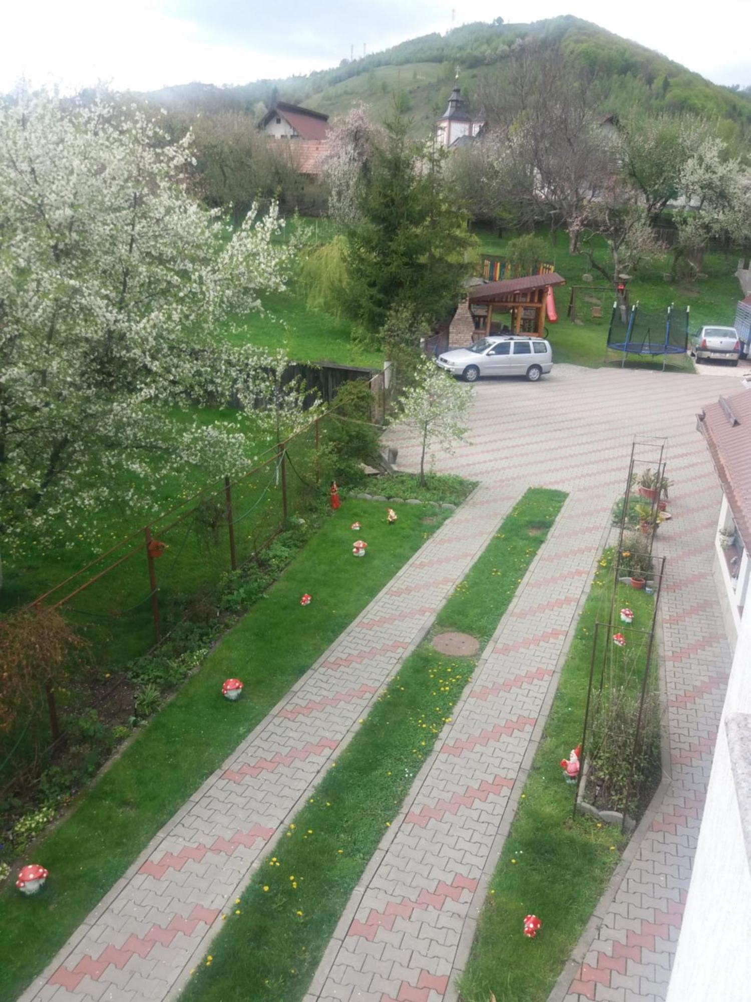 Отель Casa Elena Моечу-де-Жос Экстерьер фото