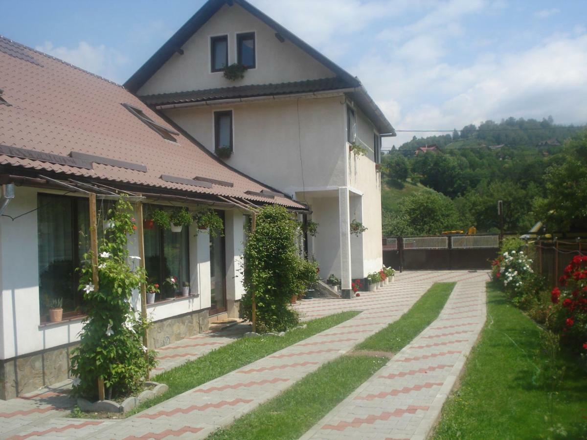 Отель Casa Elena Моечу-де-Жос Экстерьер фото