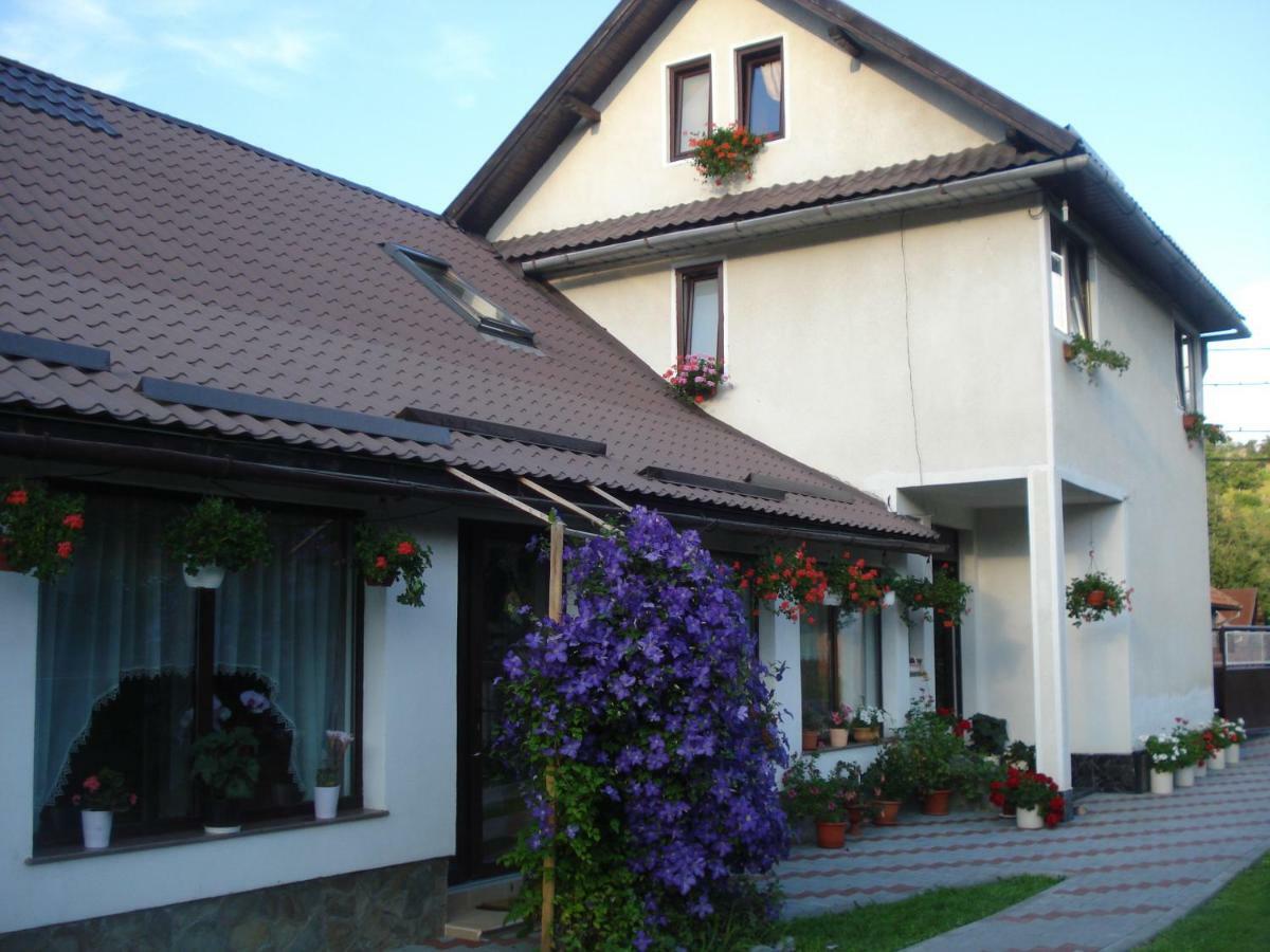Отель Casa Elena Моечу-де-Жос Экстерьер фото